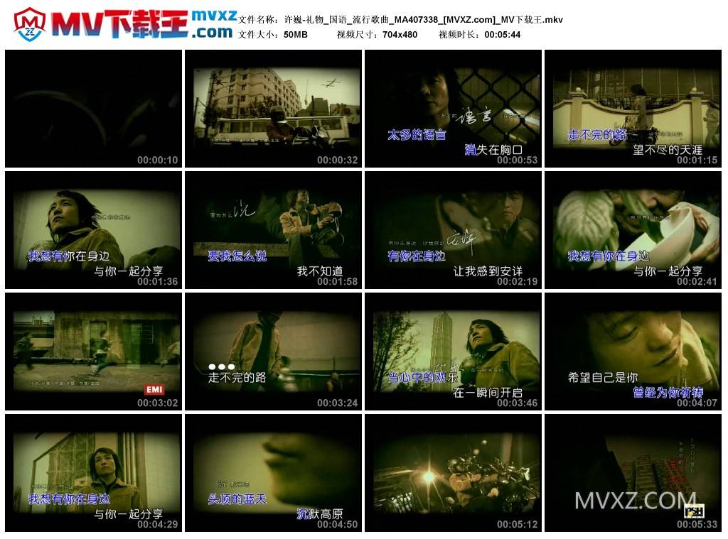 许巍-礼物_国语_流行歌曲_MA407338